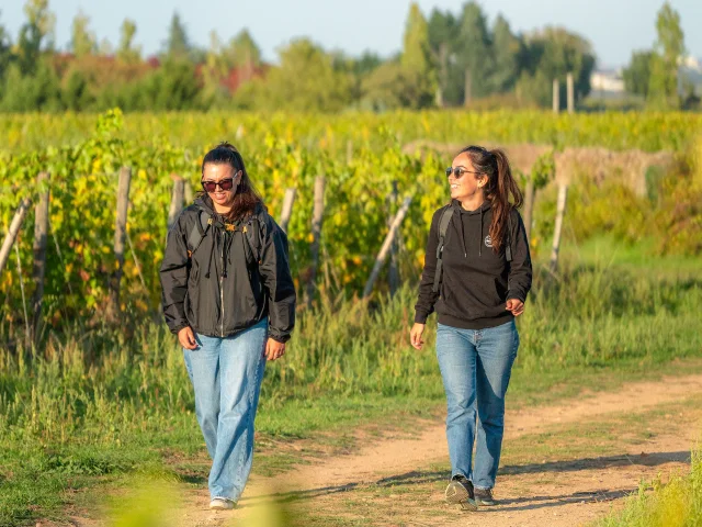 Amies qui se baladent dans le vignoble de Savennières.