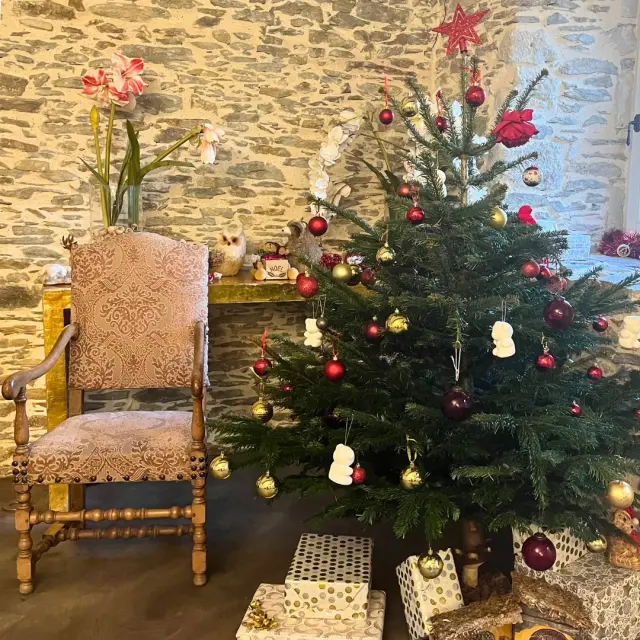 Chêteau de l'Epinay à Noël