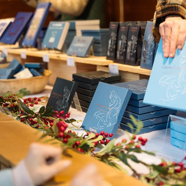 Photographer - videographer