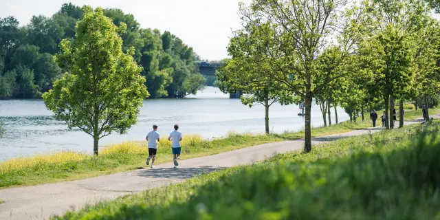 Footing sur les bords de Maine à Angers