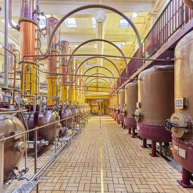 Visite des alambics chez Cointreau