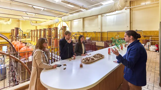 Visite guidée et commentée Cointreau