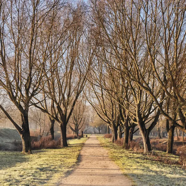 Parc Balzac Angers Copyright Alexandre Lamoureux Destination Angers 15250 1920px