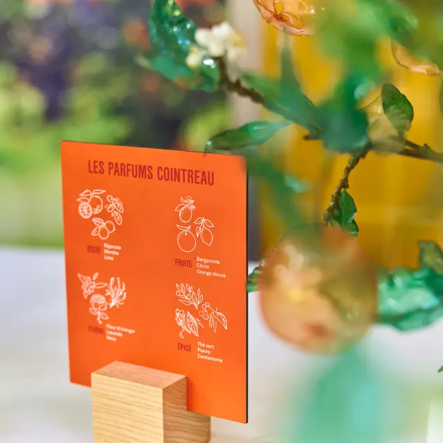 Univers Cointreau Alexandre Lamoureux