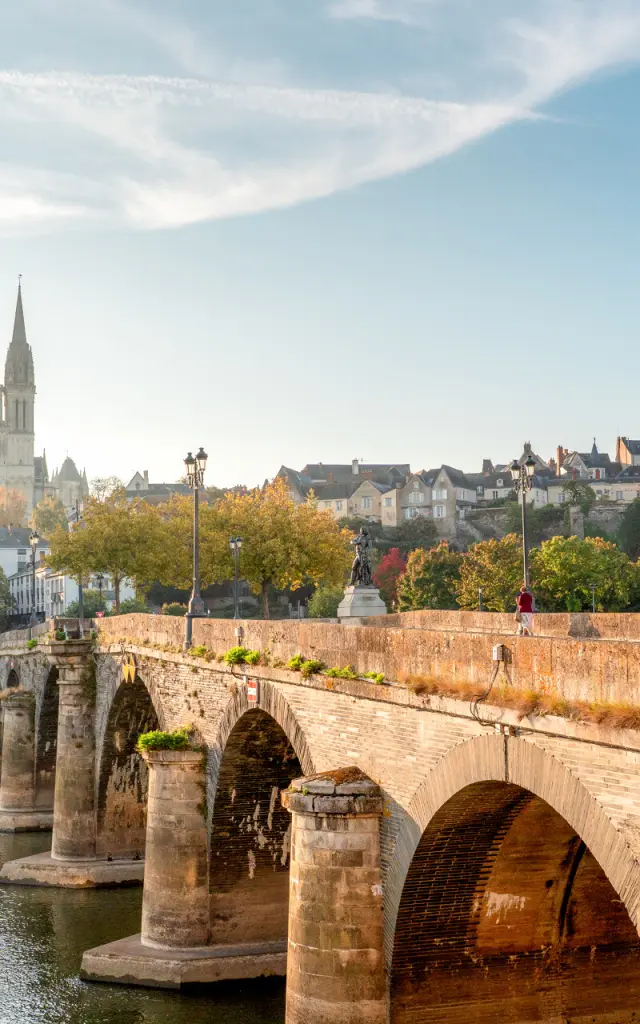 Pont de Verdun à Angers en hiver