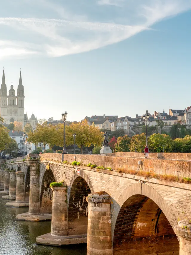 Pont de Verdun à Angers en hiver