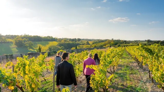 Balade dans le vignoble au Château d'Epiré à Savennnières