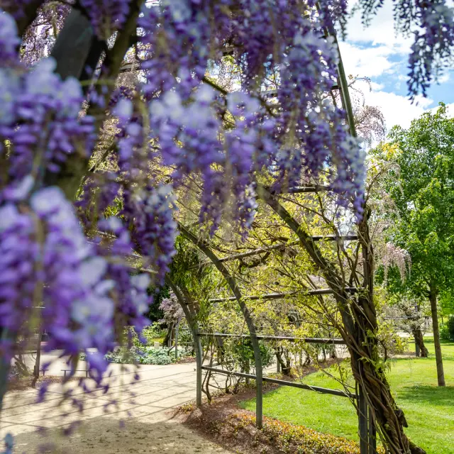 Promenade Jean Turc Au Printemps à Angers