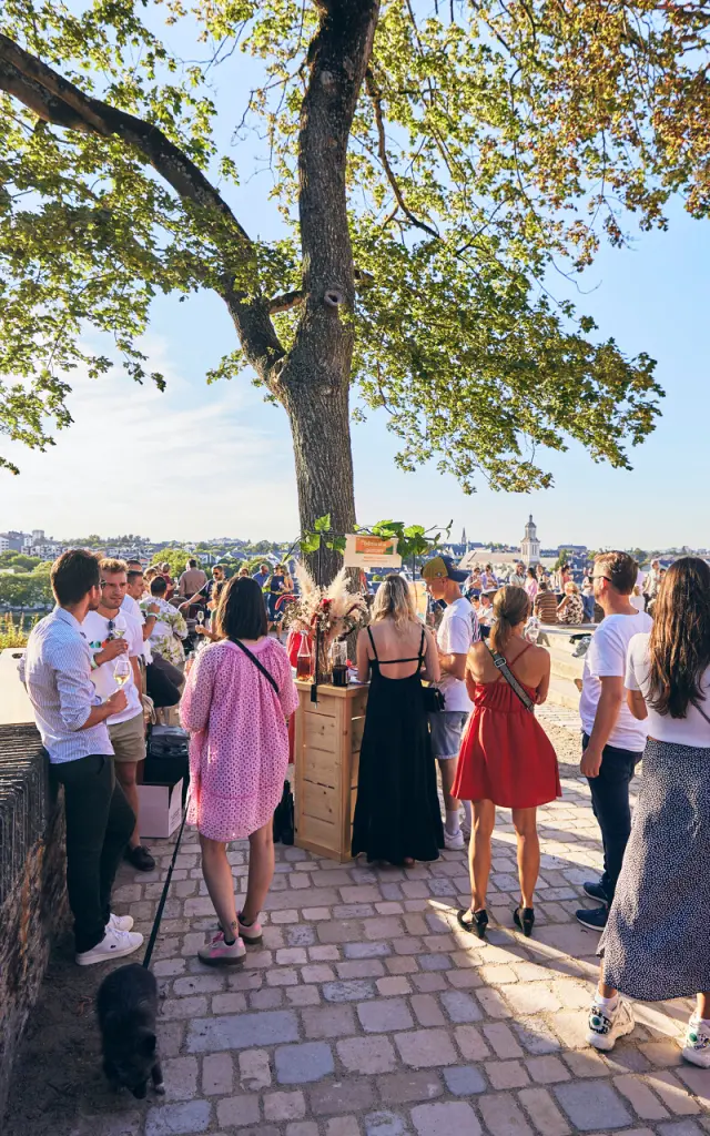 Soirées dégustation de l'été, Promenade du Bout du Monde à Angers