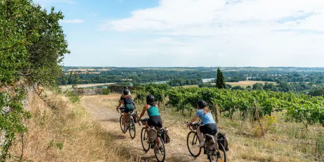 Week-end gravel entre Loire et vignobles - Savennières