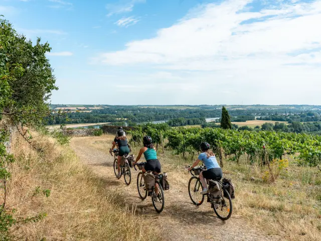 Week-end gravel entre Loire et vignobles - Savennières