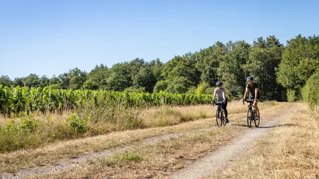 Gravel Entre Loire et vignobles - Coteaux du Layon